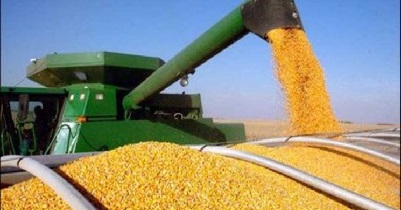 مرغداران واردات ارز دولتی نهاده های دامی