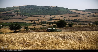 امنیت غذایی کشت دیم آبخیزداری