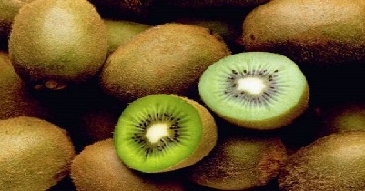 کیوی صادرات غیر نفتی وزارت صنعت  معدن و تجارت