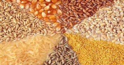 شفافیت در توزیع نهاده های دامی رعایت نمی‌شود