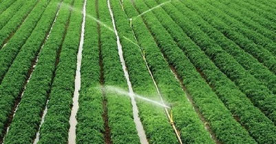 اتحادیه صنف بارفروشان الگوی کشت وزارت کشاورزی