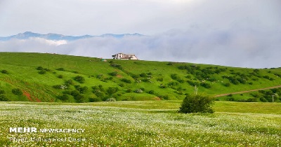 منابع طبیعی ساطمان جنگل ها دادستان  حبس