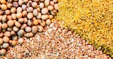 اتحادیه مرغداران واردات نهاده  دامی