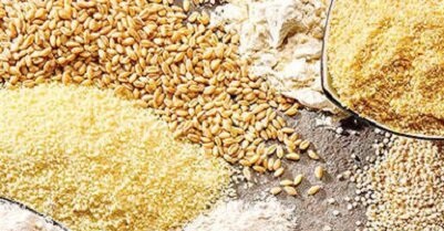 مرغداری ارز دولتی نهاده دامی