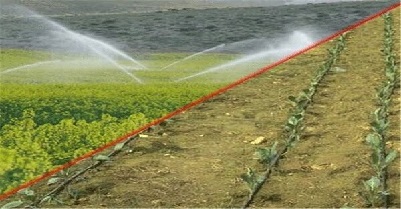 اتحادیه صنف بار فروشان وزارت کشاورزی الگوی کشت