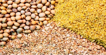 اتحادیه واردکنندگان نهاده‌های دام نهاده دامی توزیع بازارگاه