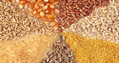 نهاده دامی جهاد کشاورزی بازارگاه