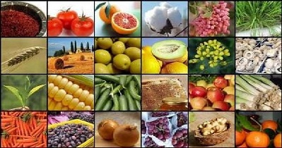 صادرات واردات کشاورزی قیمت محصولات کشاورزی