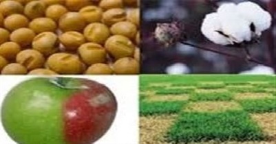 مجلس مرکز پژوهش های مجلس شورای اسلامی مهندسی ژنتیک تراریخته